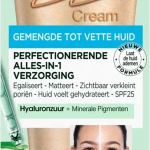 Garnier BB Cream Oil Free Light 50 ml