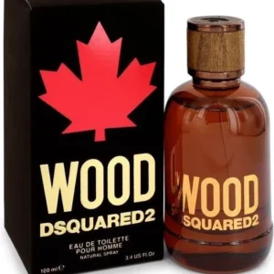 Dsquared Wood pour homme 100 ml - Eau de Toilette - Herenparfum - Beschadigde of geen verpakking