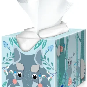 Tempo tissues - Everyday Kids Cube - 3-laags tissues - 64 st. Assortiment afbeelding doos