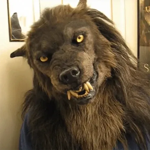 Realistische Werwolf Maske aus Silikon und Kunstfell für Halloween