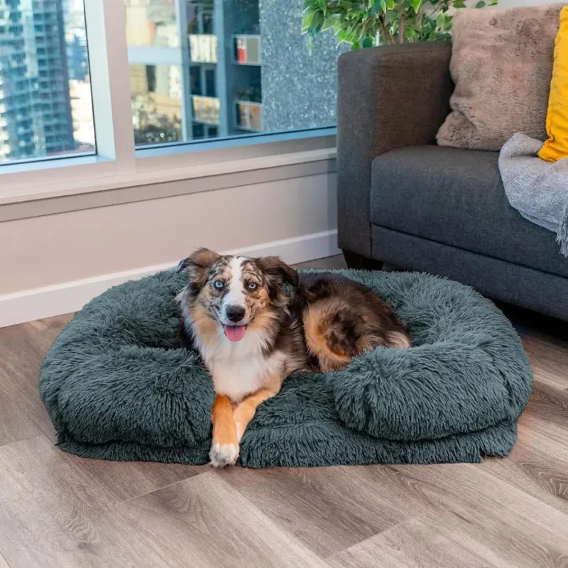 Orthopedic Dog Bed Memory Foam With Plush Cover - Product showcase