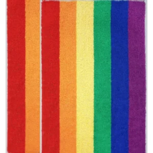 Regenbogen 2er Set Gästehandtücher, kleine Handtücher 30x50 cm