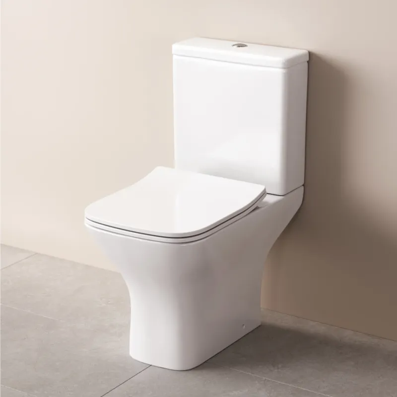 Stand-WC Gem mit waagerechtem Wandabgang (PK), spülrandlos mit Soft-Close-WC-Sitz – CGA8601PSC