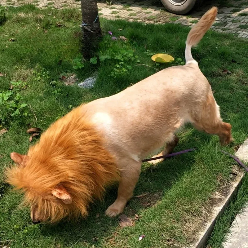 Lion Mane Dog Costume Adjustable Plush Halloween Pet Wig - Detailed view