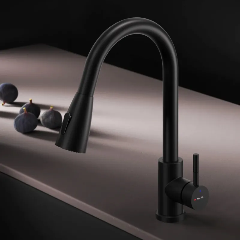 Küchenarmatur X-Joy S mit schwenkbarem, ausziehbarem Auslauf und 2 Strahlarten, Schwarz – F85B07522