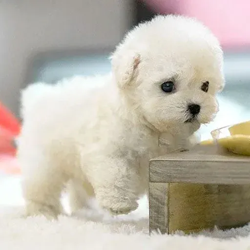 Interactive Plush Puppy Realistic Pet Companion Toy - Detailed view