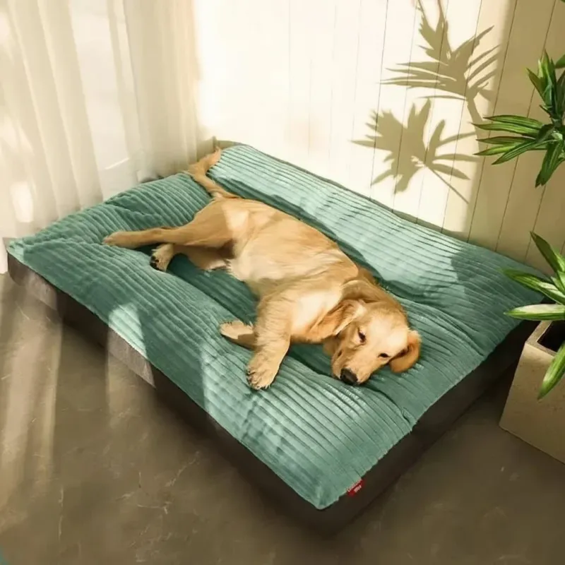 Orthopädisches Hundebett – weiches Schlafbett für Hunde