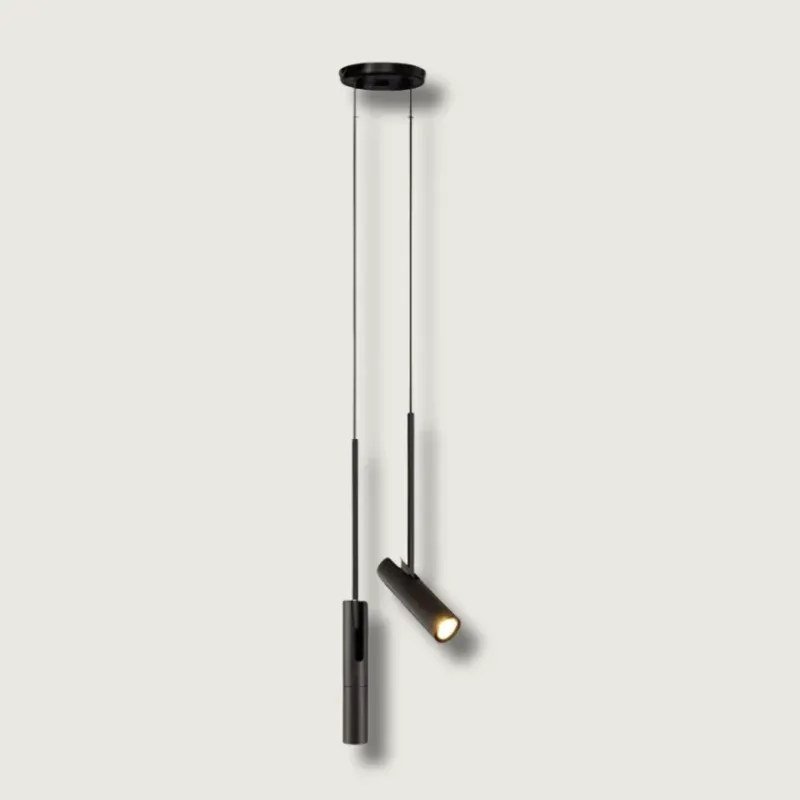 Modern LED Pendant Light Dual Adjustable Spotlights - Product showcase